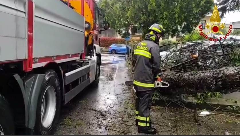 maltempo vento albero sradicato vigili del fuoco