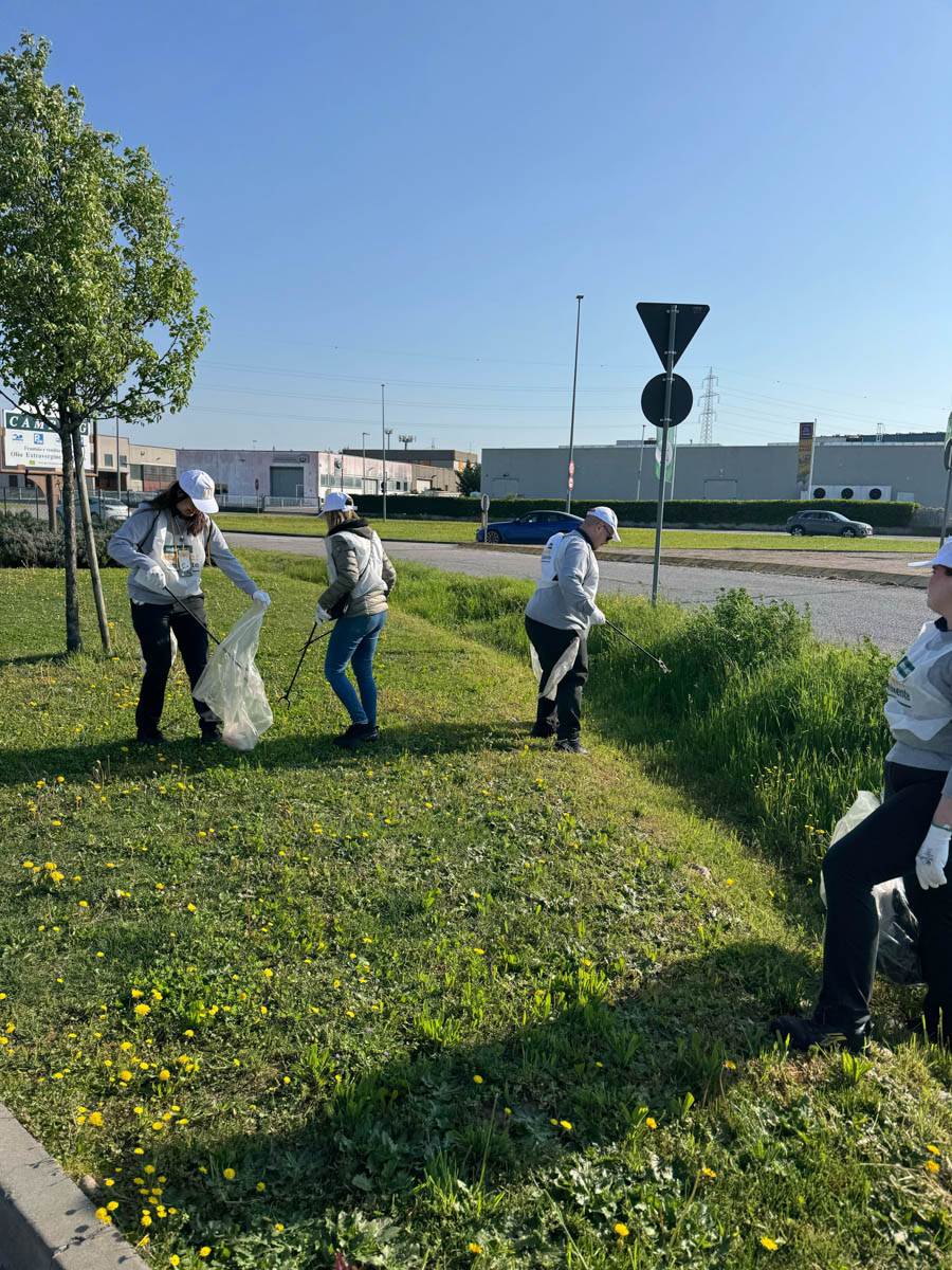 McDonalds rifiuti Bussolengo