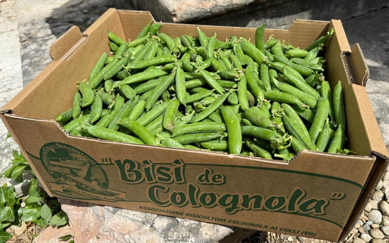 Sagra dei Bisi Colognola ai Colli