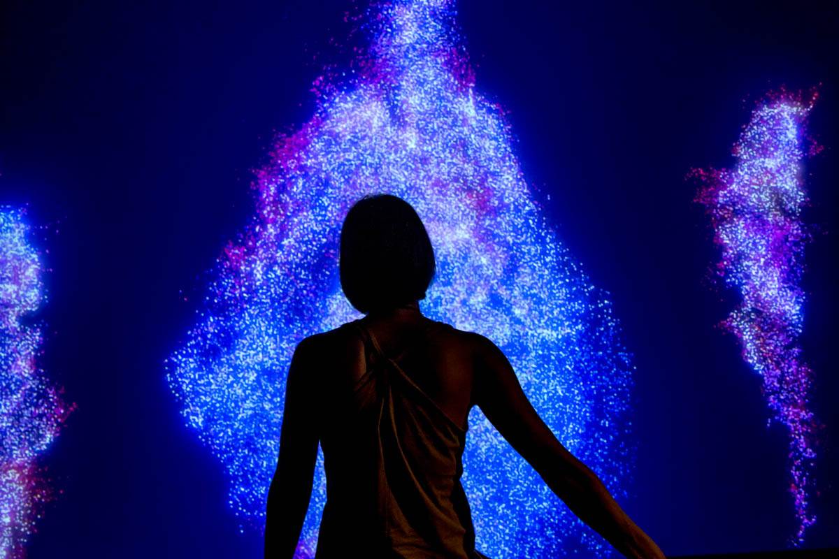 Shakespeare Interactive Museum Verona