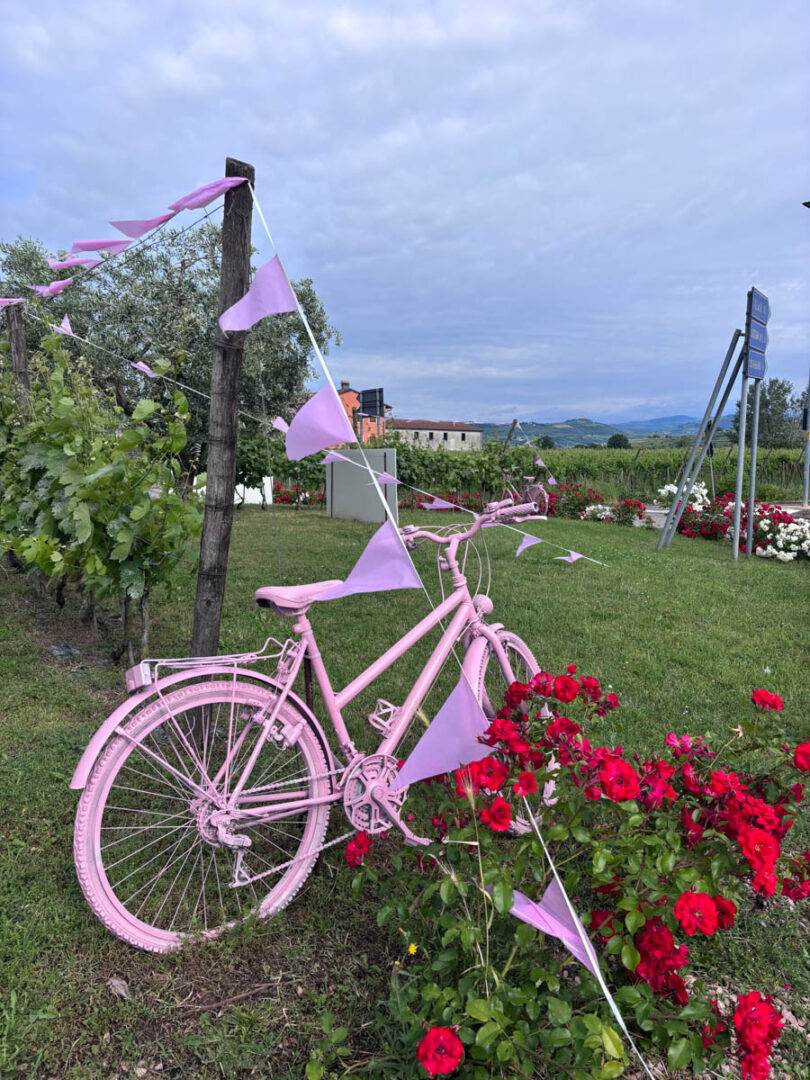 Soave Giro d'Italia 2025