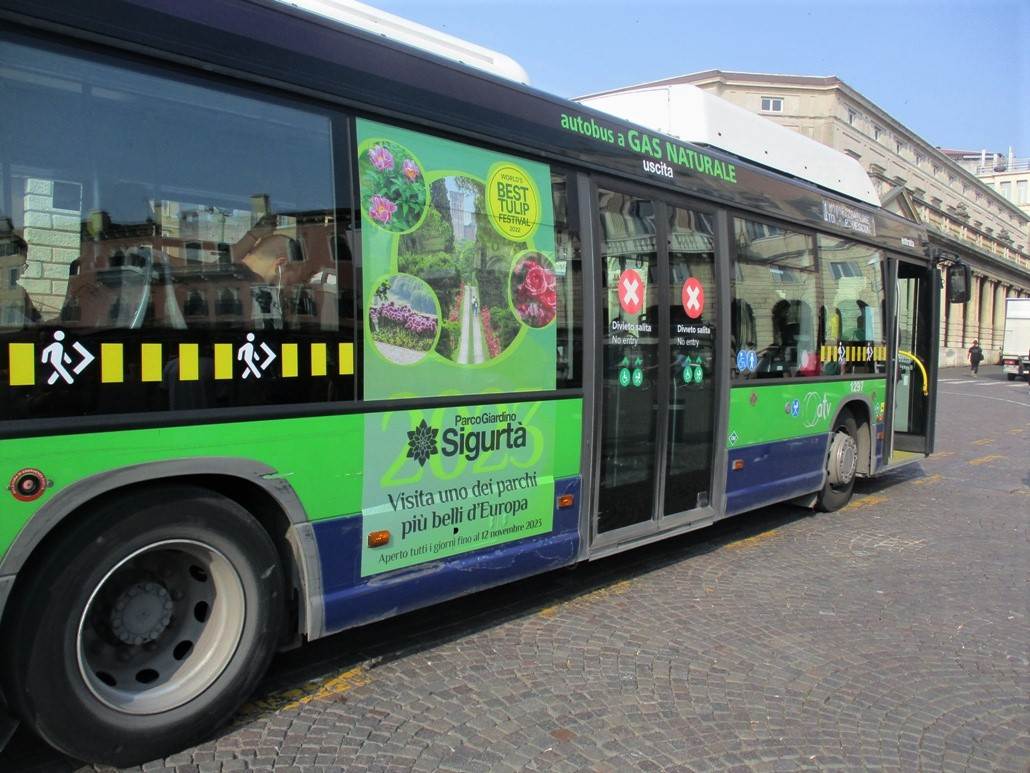 atv autobus bus verona