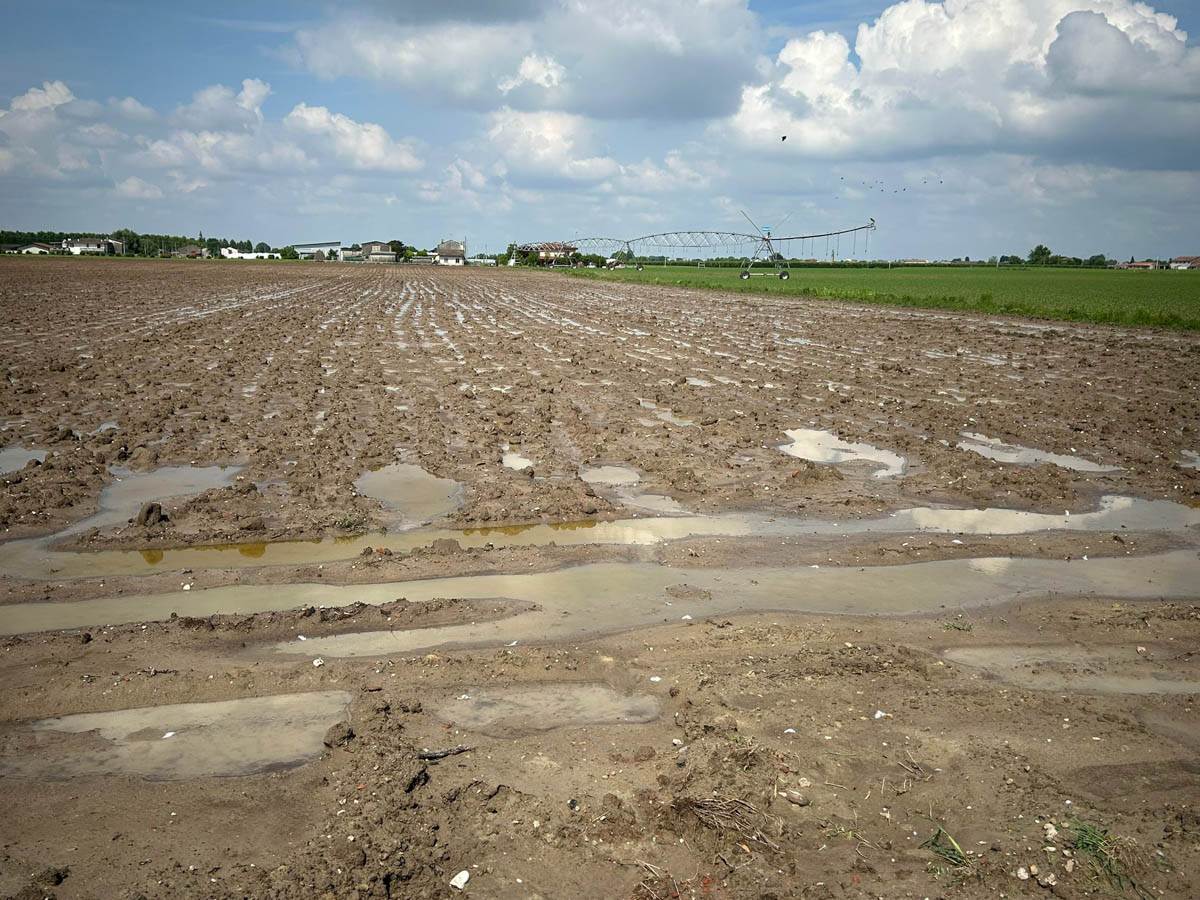 campi allagati grandine veronese (1)