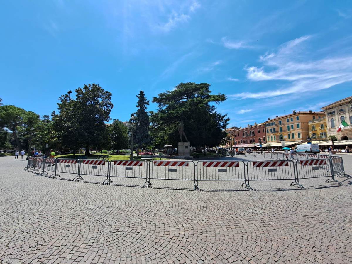 Cedro piazza Bra - controlli Amia