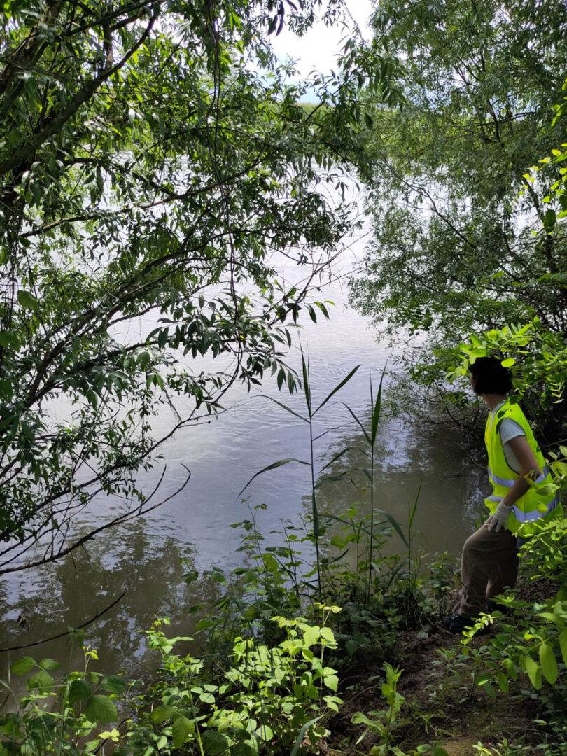 Legambiente Veneto Adige (6)