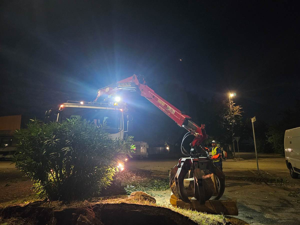 Intervento di Amia per alberi caduti a Verona (8 luglio 2025)