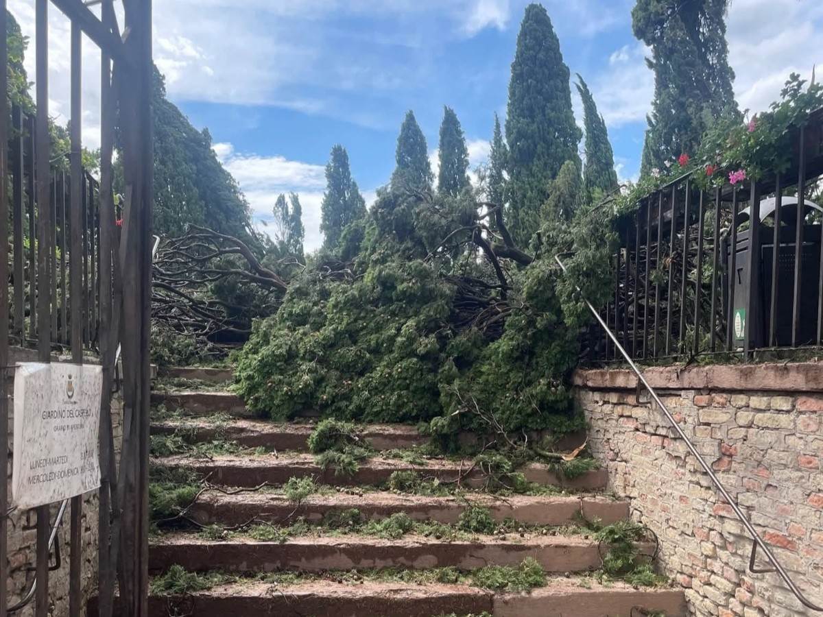 Maltempo Veneto - Conegliano