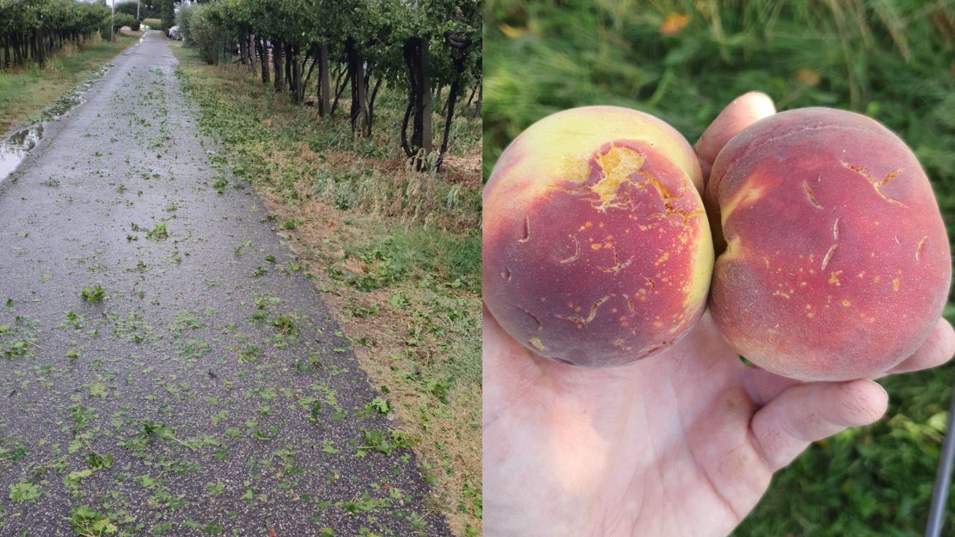 Maltempo a Verona e provincia 23.07.25