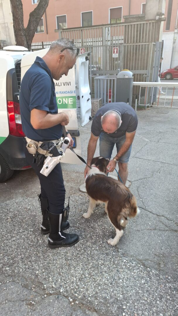 Breccia Cappuccini via Faccio blitz Polizia Locale Verona 2