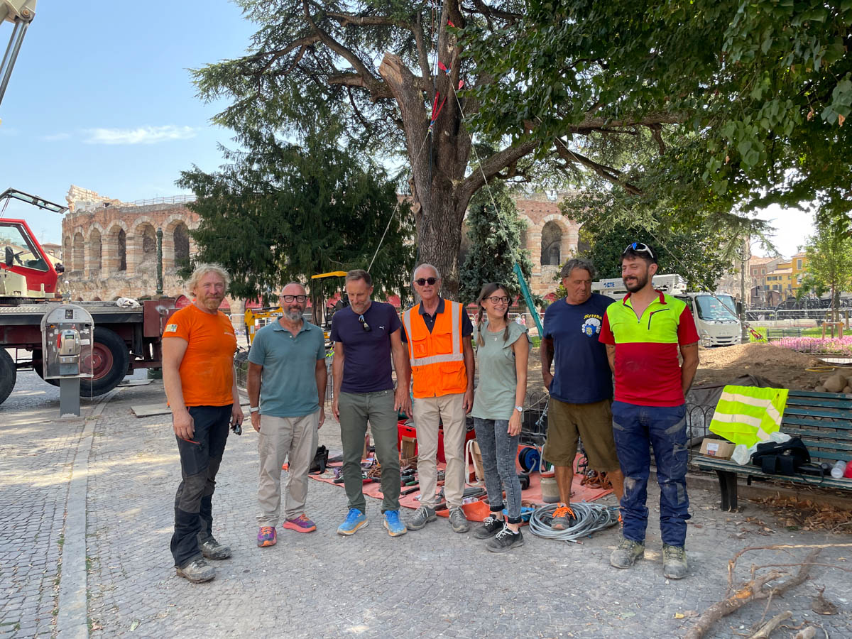 Tecnici Amia e Soprintendenza davanti al cedro di Piazza Bra