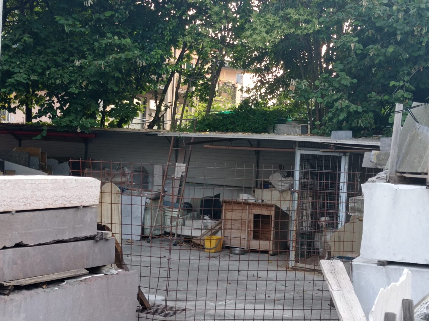 LAV cani maltrattati Pescantina