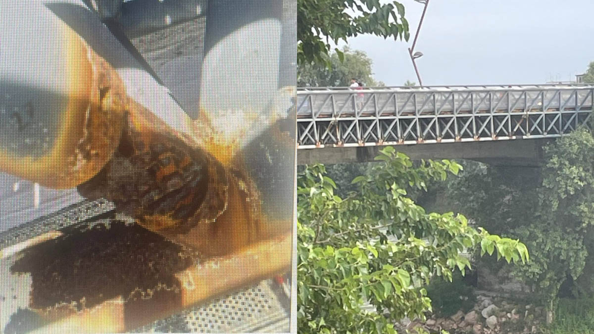 Legnago: corrosione sulla passerella del ponte Principe Umberto