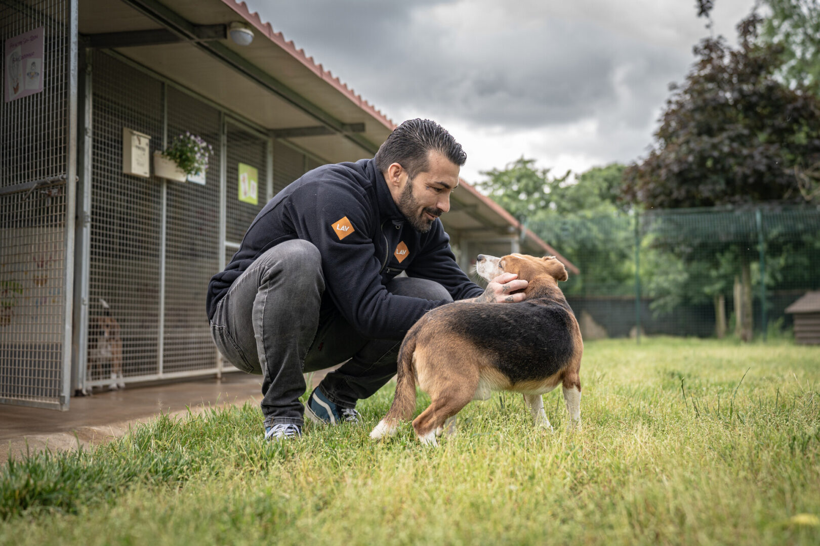 Beagle LAV Aptuit sequestro