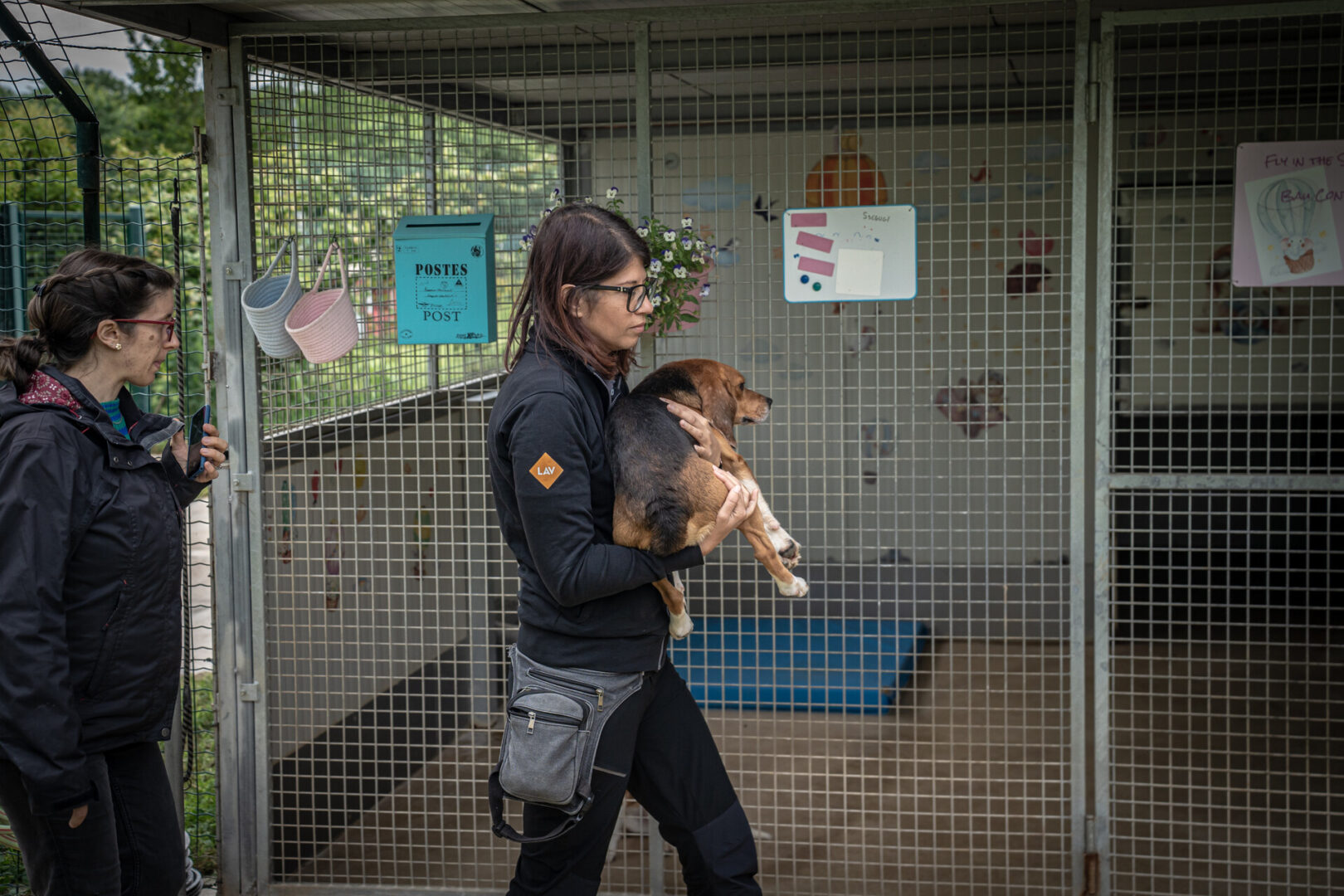 Beagle LAV Aptuit sequestro