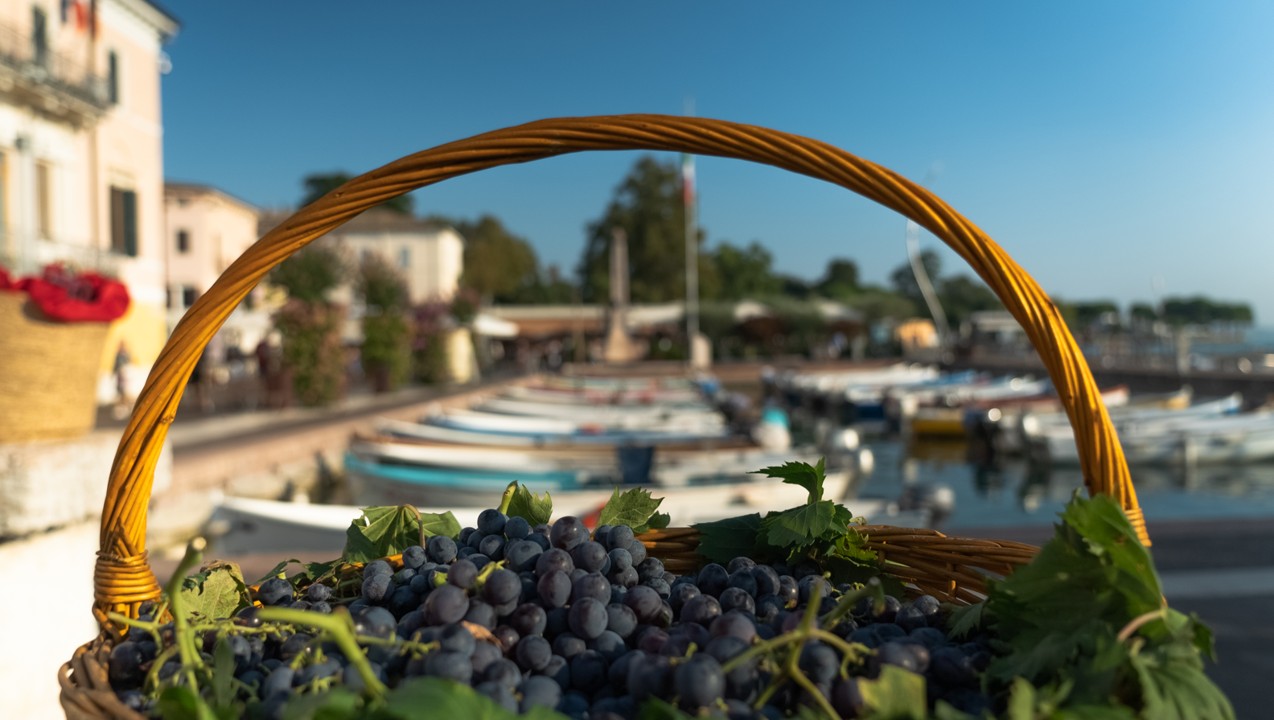 Festa dell'Uva - Bardolino