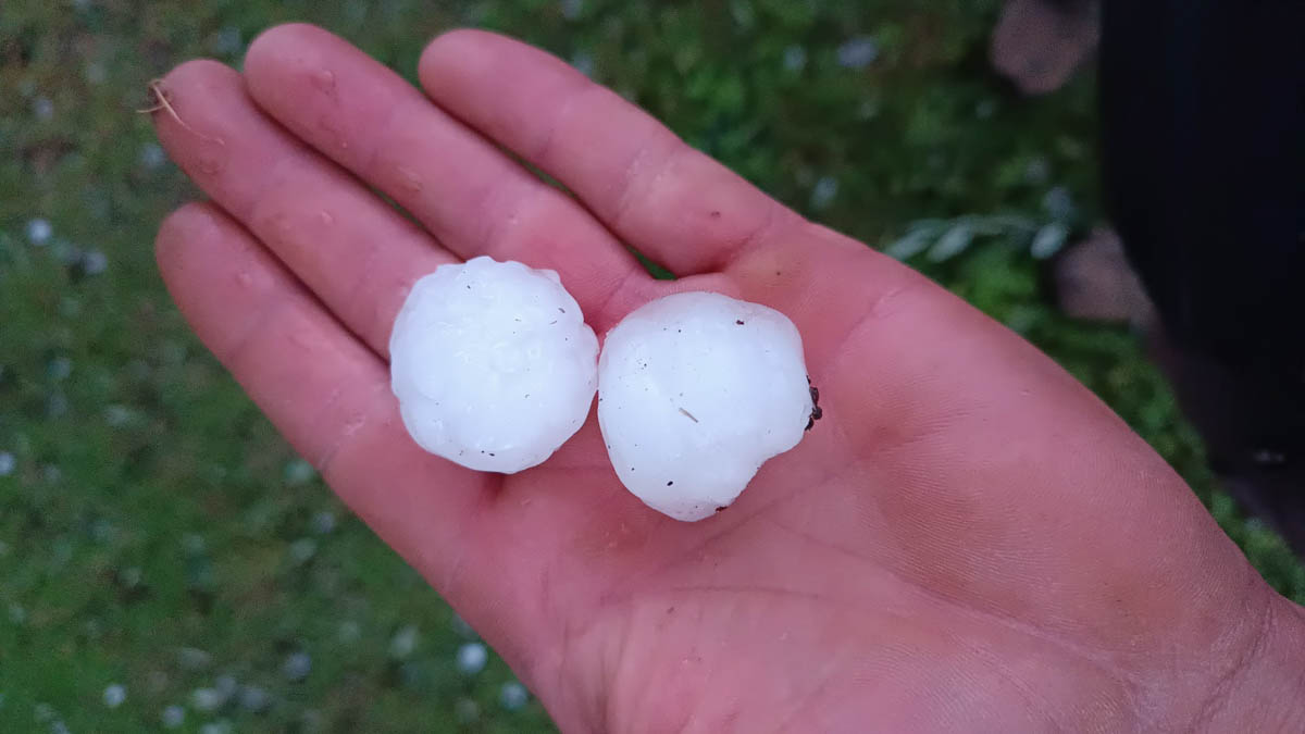 Grandine danni 24.09.2025 Veronese maltempo (2)