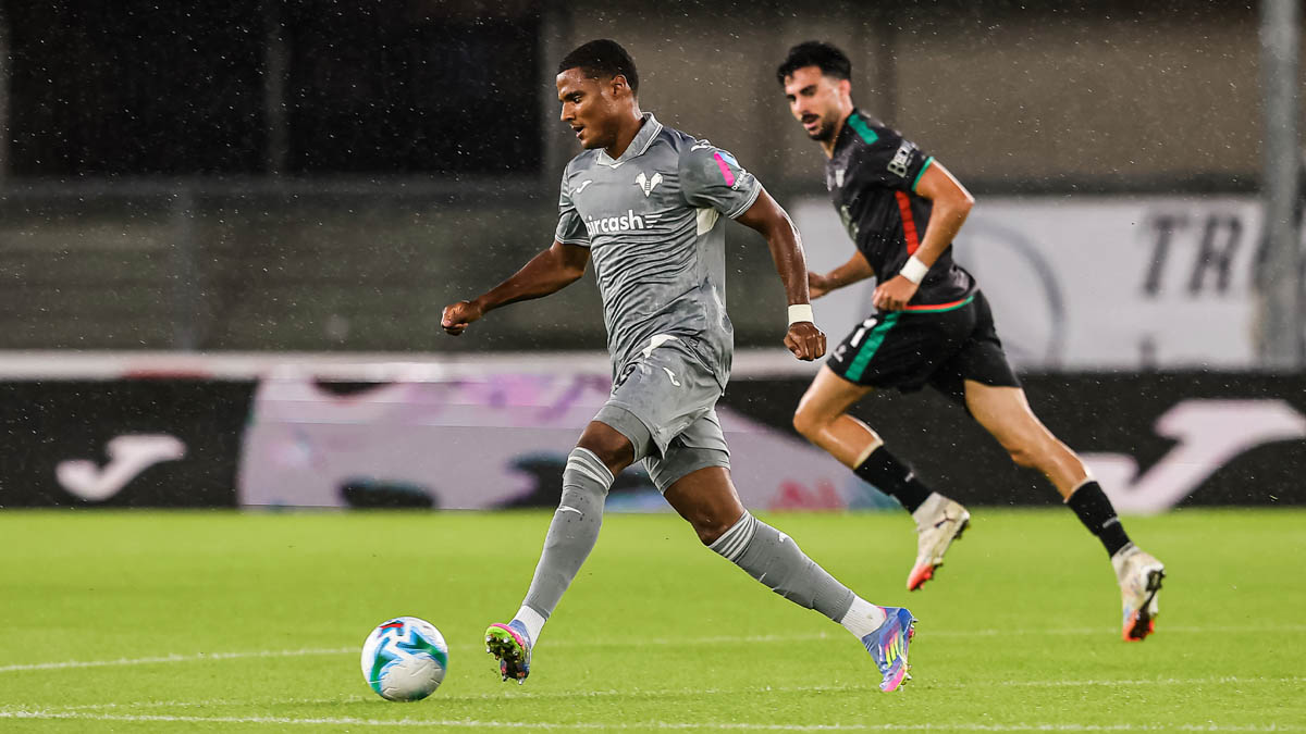 Hellas Verona-Venezia