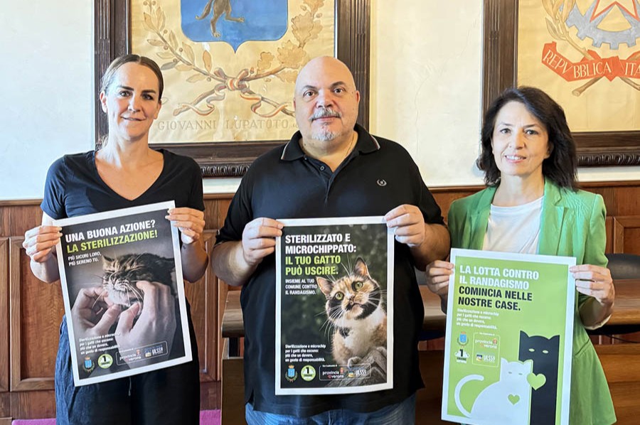 Hustert Simonato Grigoli San Giovanni Lupatoto randagismo gatti