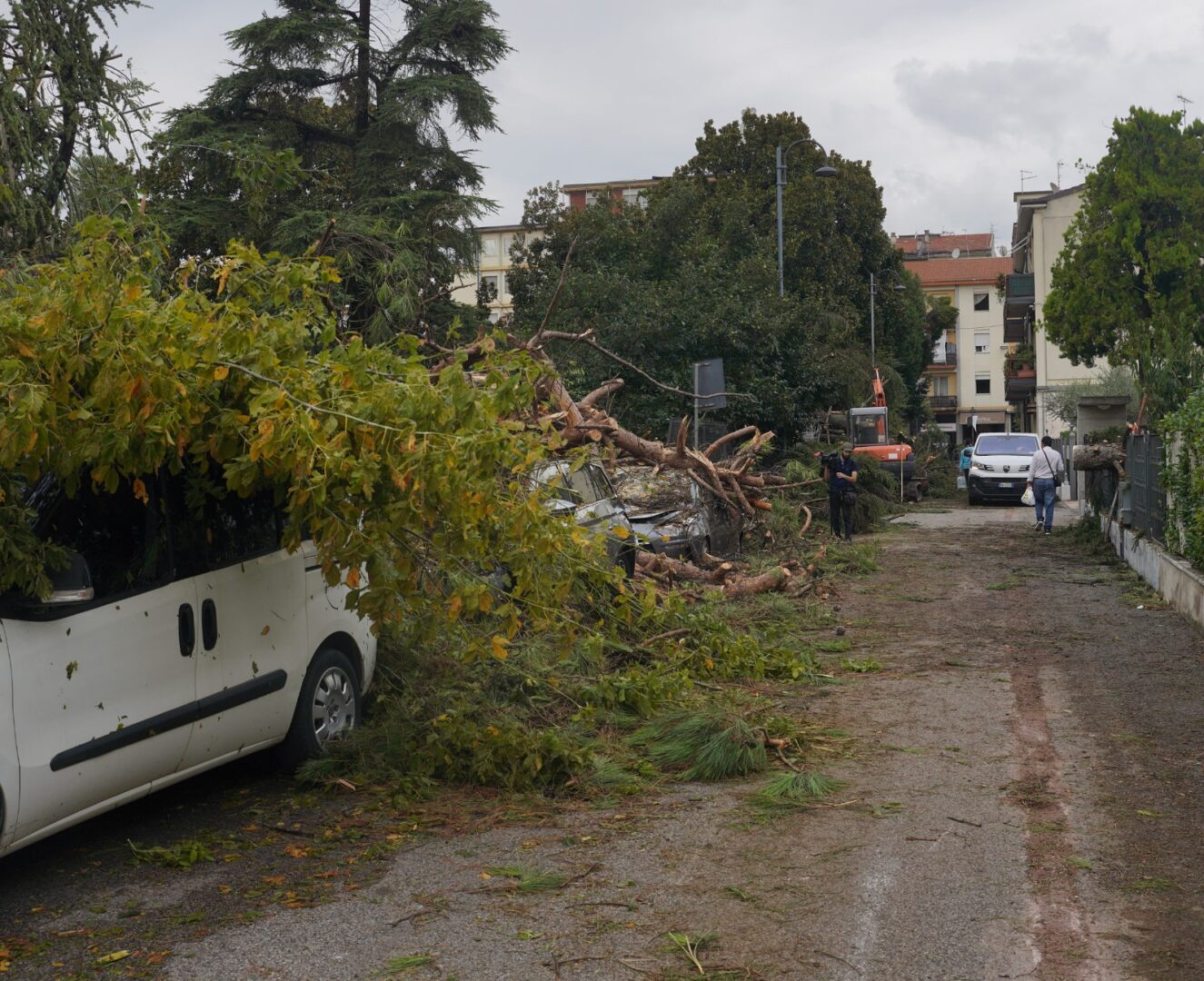 danni maltempo bovolone oppeano san bonifacio verona 1 settembre 2025 01.09.2025