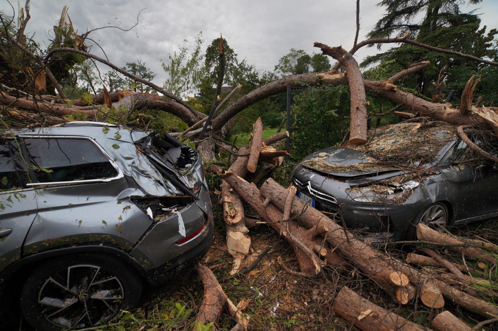 danni maltempo bovolone oppeano san bonifacio verona 1 settembre 2025 01.09.2025