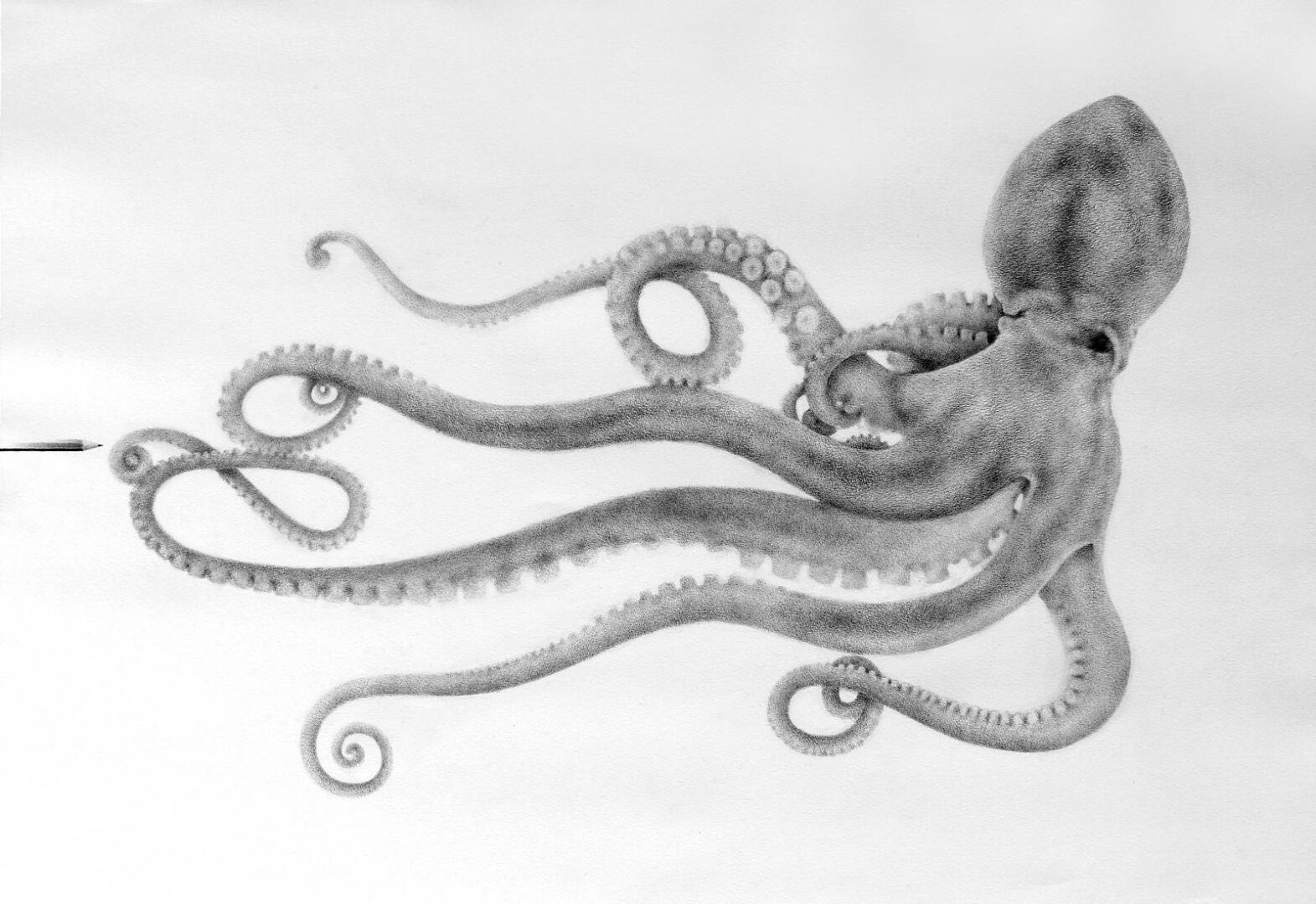 Premio Massimiliano Galliani