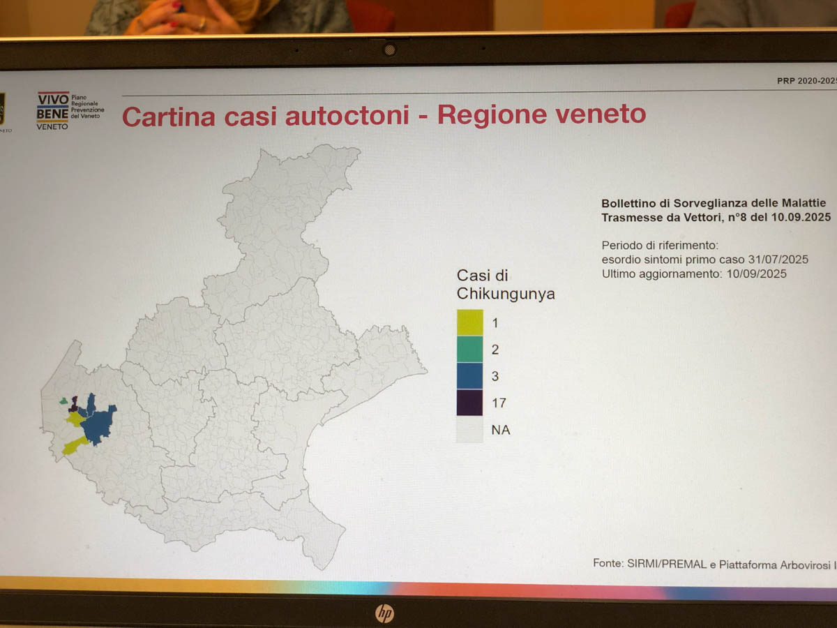 Ulss 9 Chikungunya (punto stampa 11 settembre 2025)