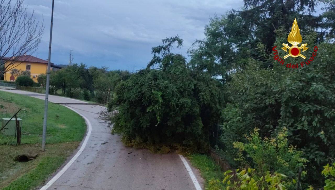 danni maltempo bovolone oppeano san bonifacio verona 1 settembre 2025 01.09.2025