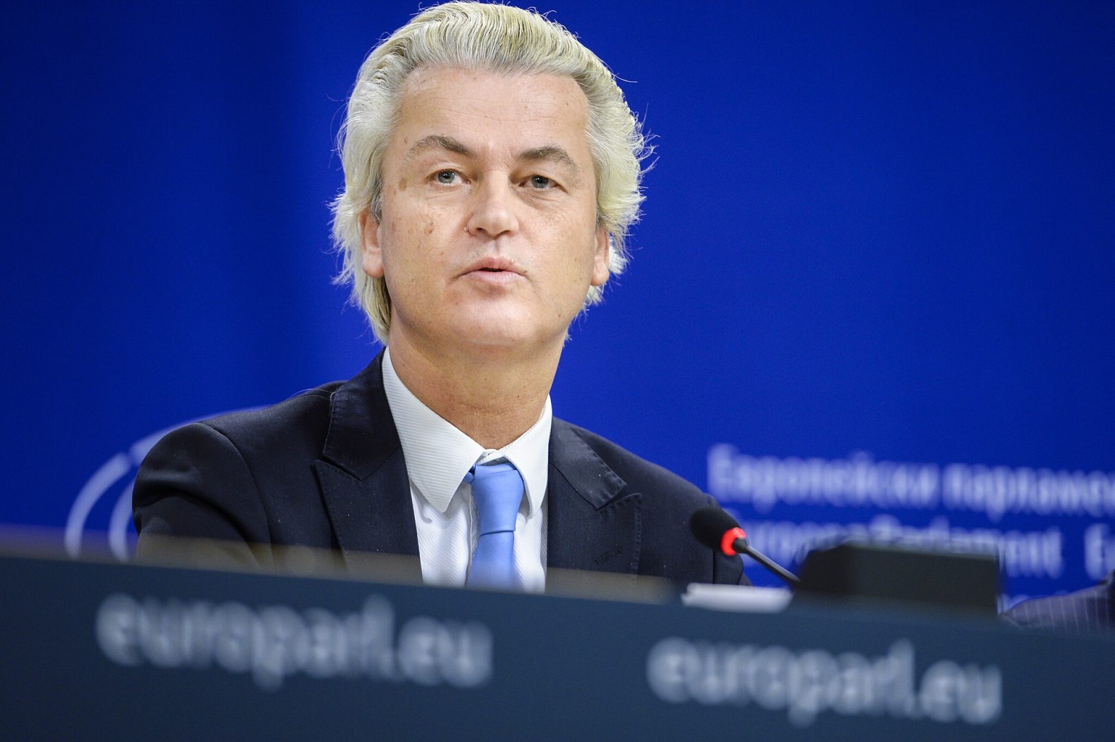 elezioni olanda wilders