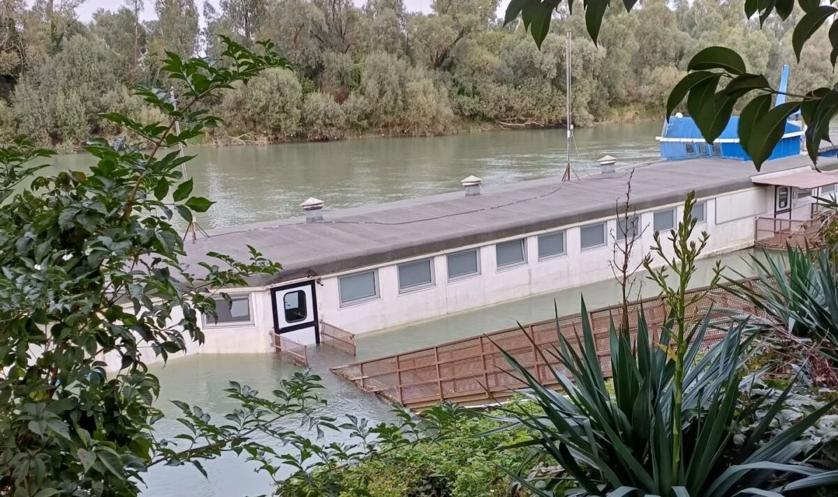 410 Risto Boat Legnago