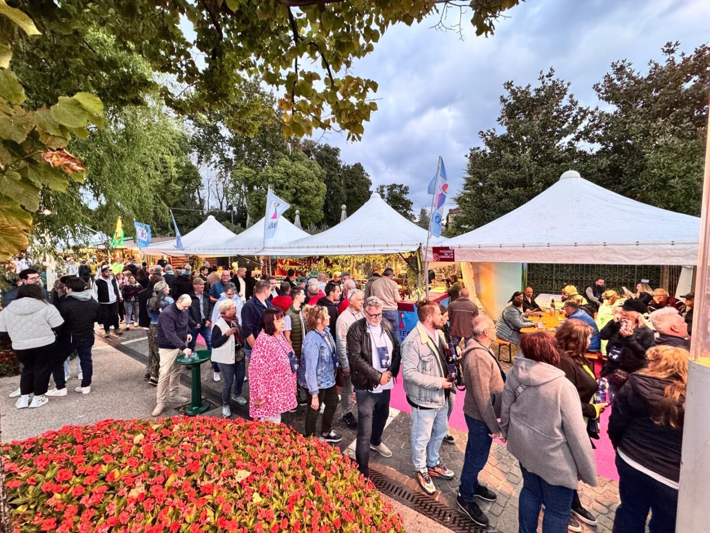 Inaugurazione Festa dell'Uva Bardolino