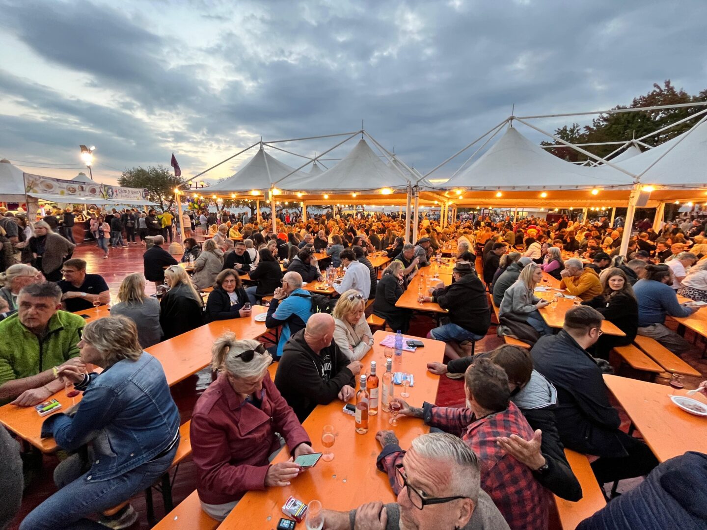 Inaugurazione Festa dell'Uva Bardolino