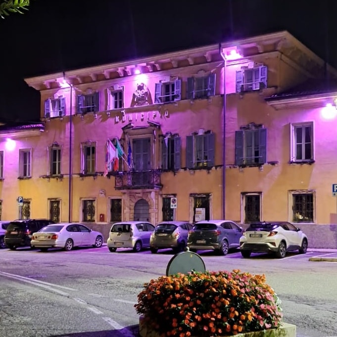 Municipio rosa San Martino Buon Albergo