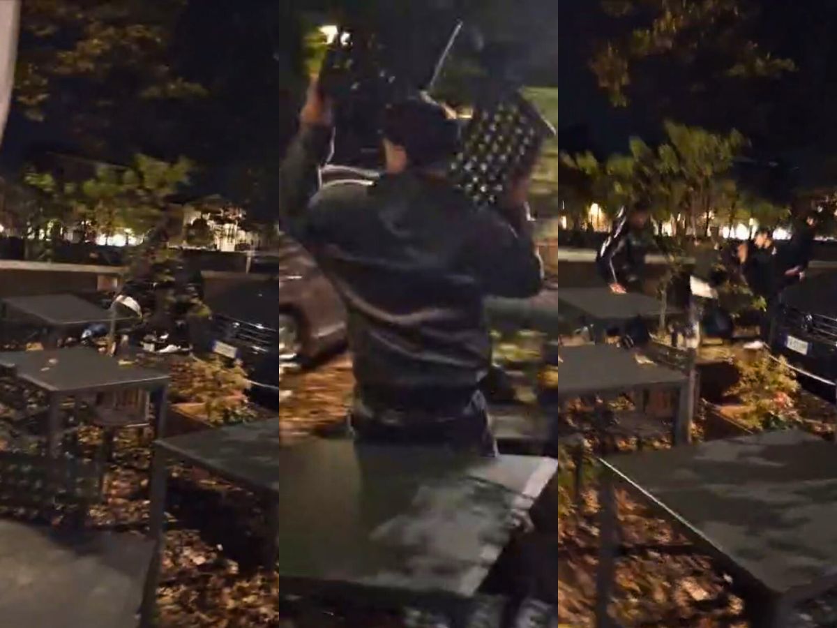 Rissa lungadige Donatelli Verona