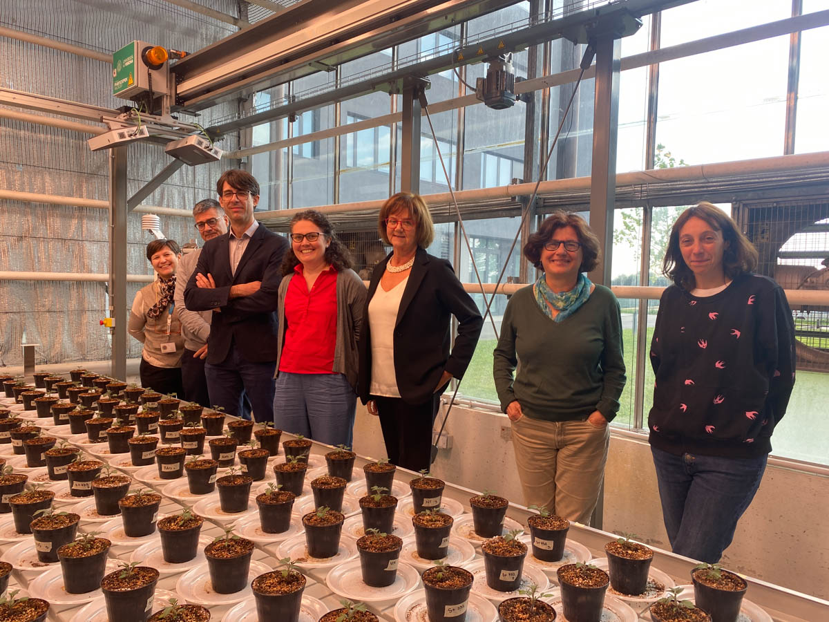 Univr - inaugurazione impianto fenotipizzazione 3.10.25