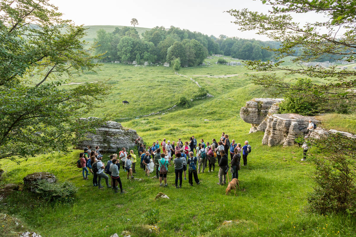 Moonlight Lessinia escursioni