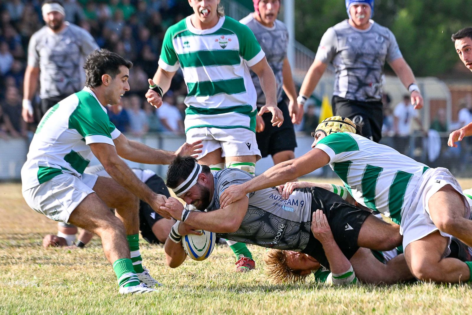Livorno Verona Rugby