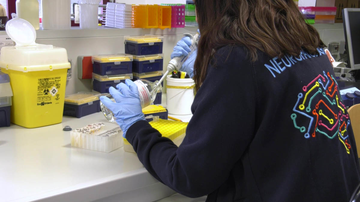 Borgo roma neurologia B_2