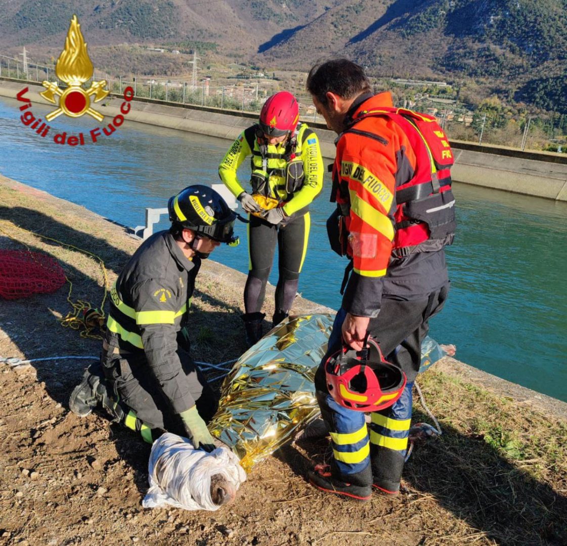 I Vigili del fuoco recuperano una cerva caduta nel canale Biffis (23-11-2025)
