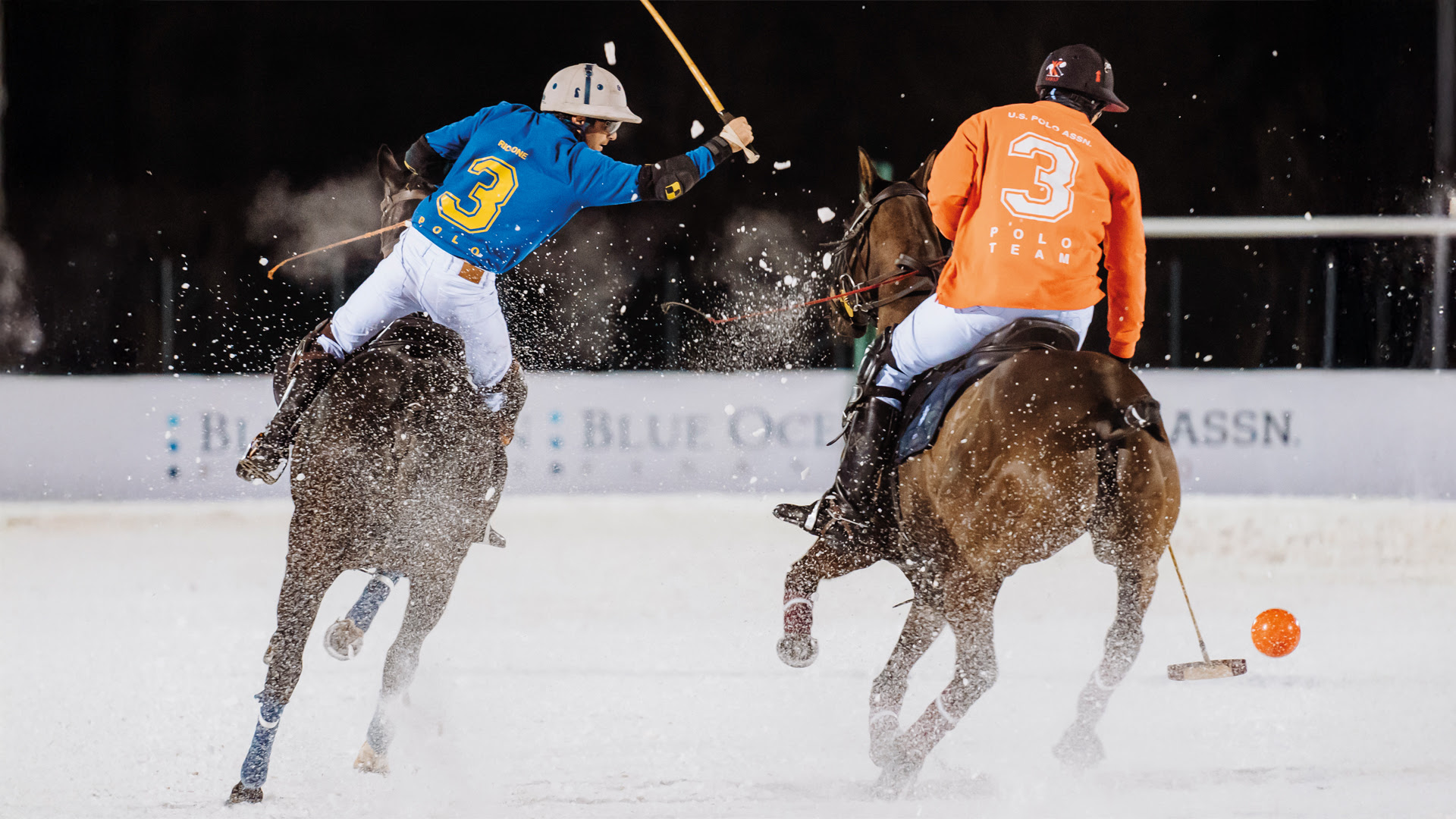 Polo Fieracavalli