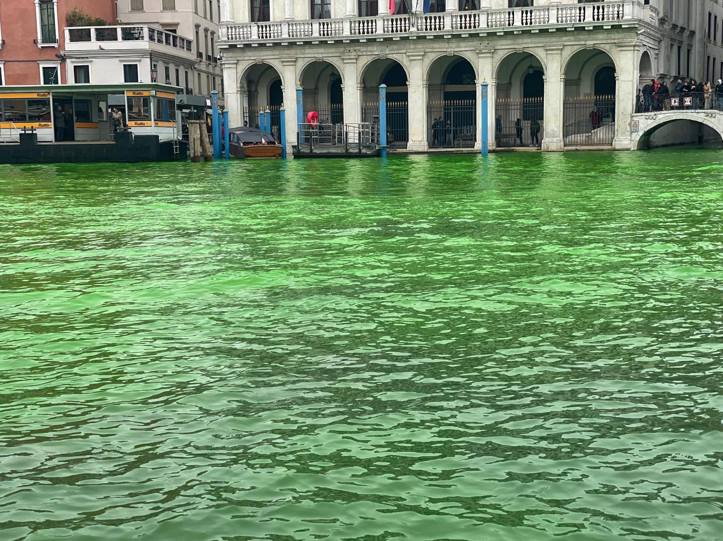 venezia extinction rebellion