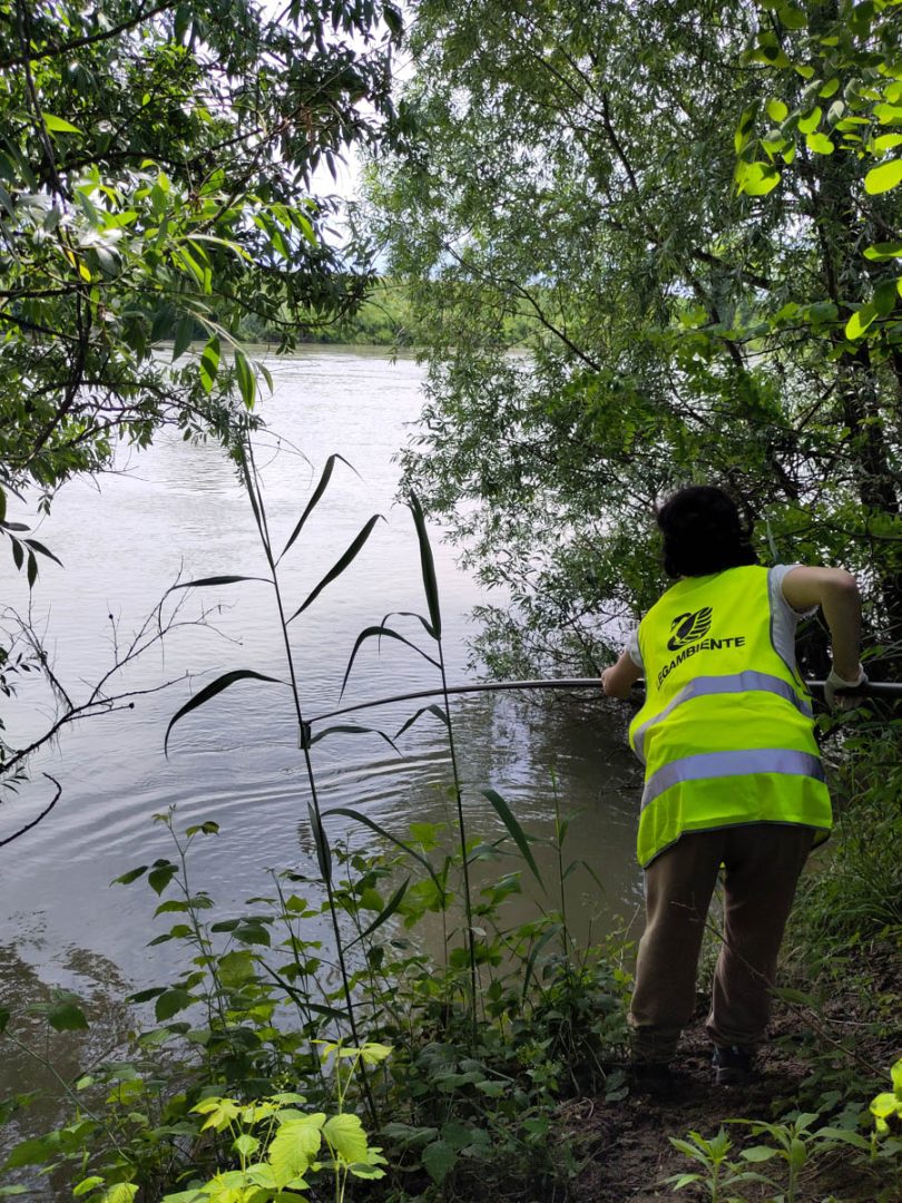 Adige Legambiente Operazione Fiumi 2025 (1)