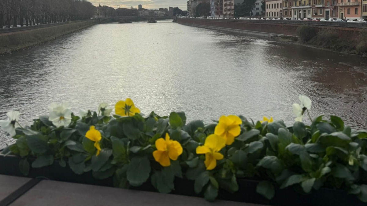 Fioriere ponte Garibaldi - Verona