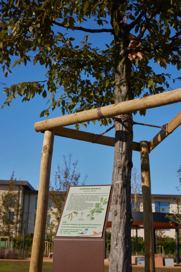 Oniverse Park - Dossobuono - Villafranca di Verona