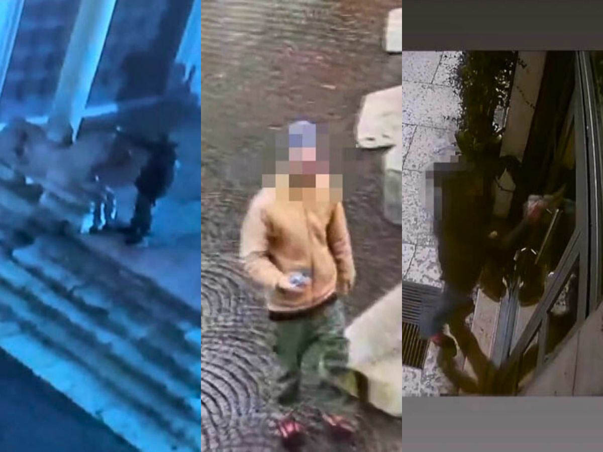 Vandalo San Zeno e monumenti Verona