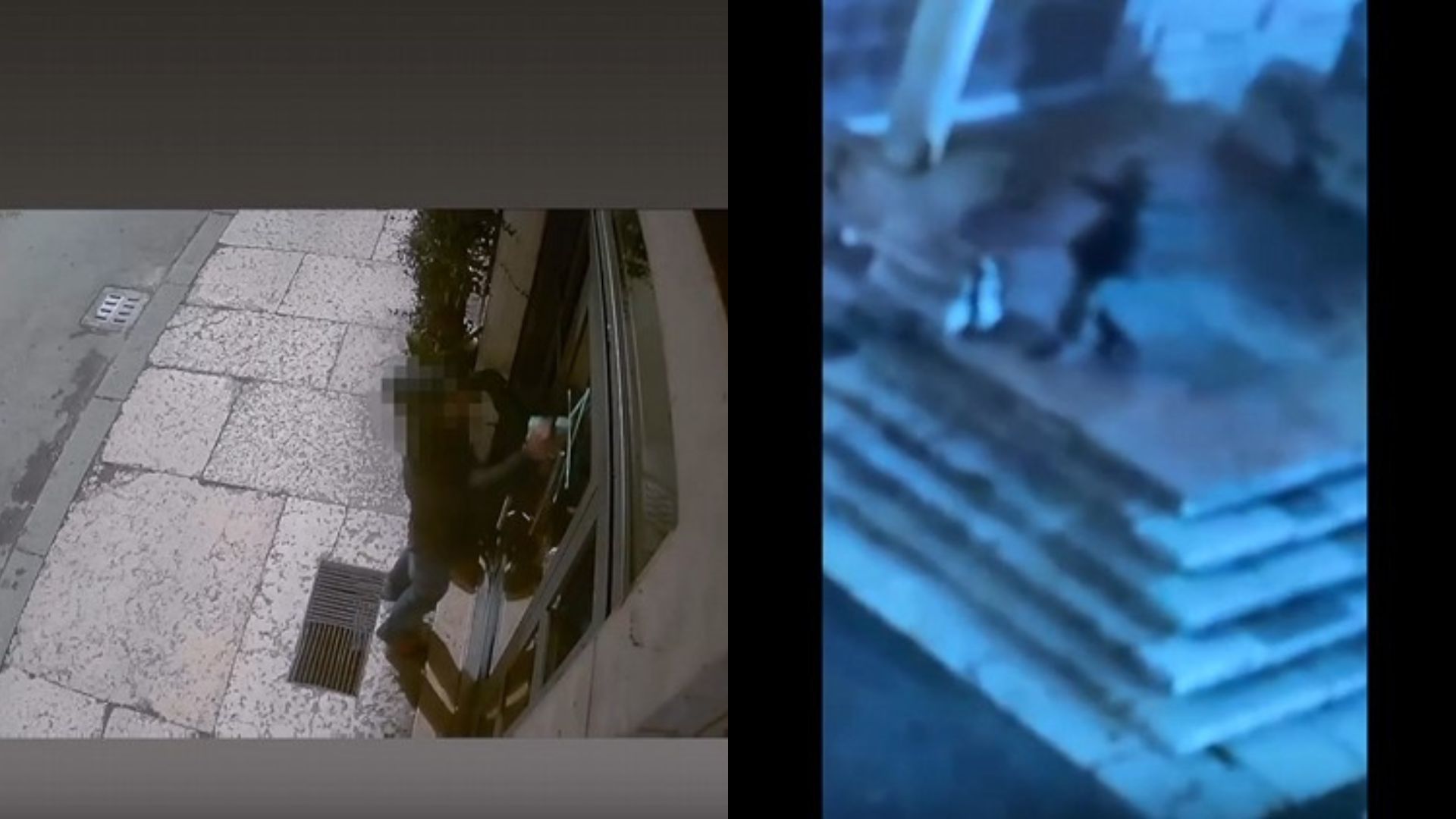 Vandalo leoni san zeno