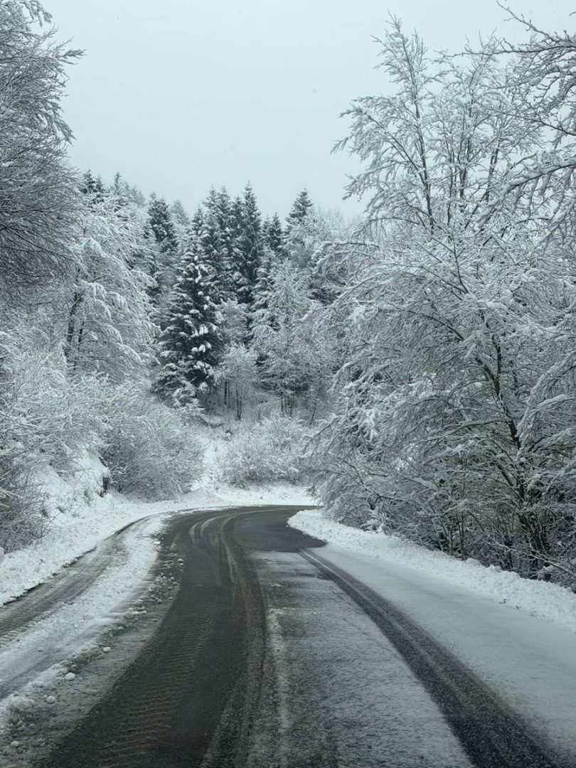 Neve in Lessinia a passo Fittanze (Erbezzo) - 24 gennaio 2026