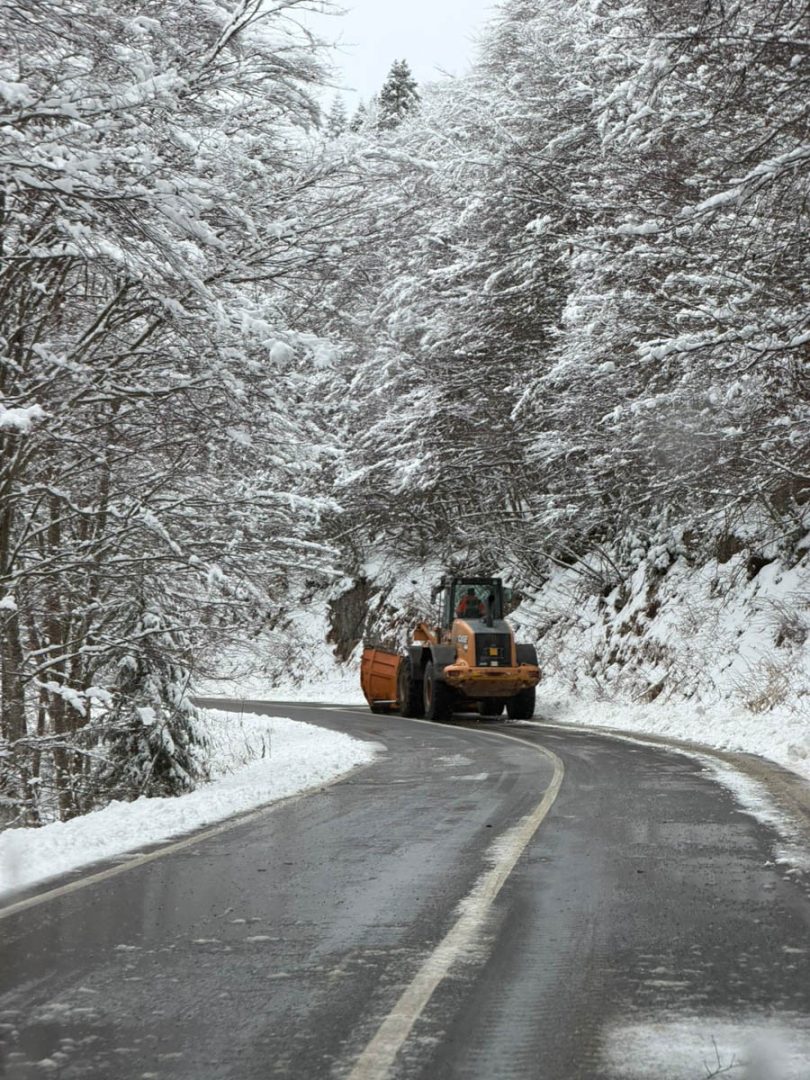 Neve in Lessinia a passo Fittanze (Erbezzo) - 24 gennaio 2026