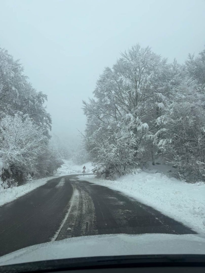 Neve in Lessinia a passo Fittanze (Erbezzo) - 24 gennaio 2026
