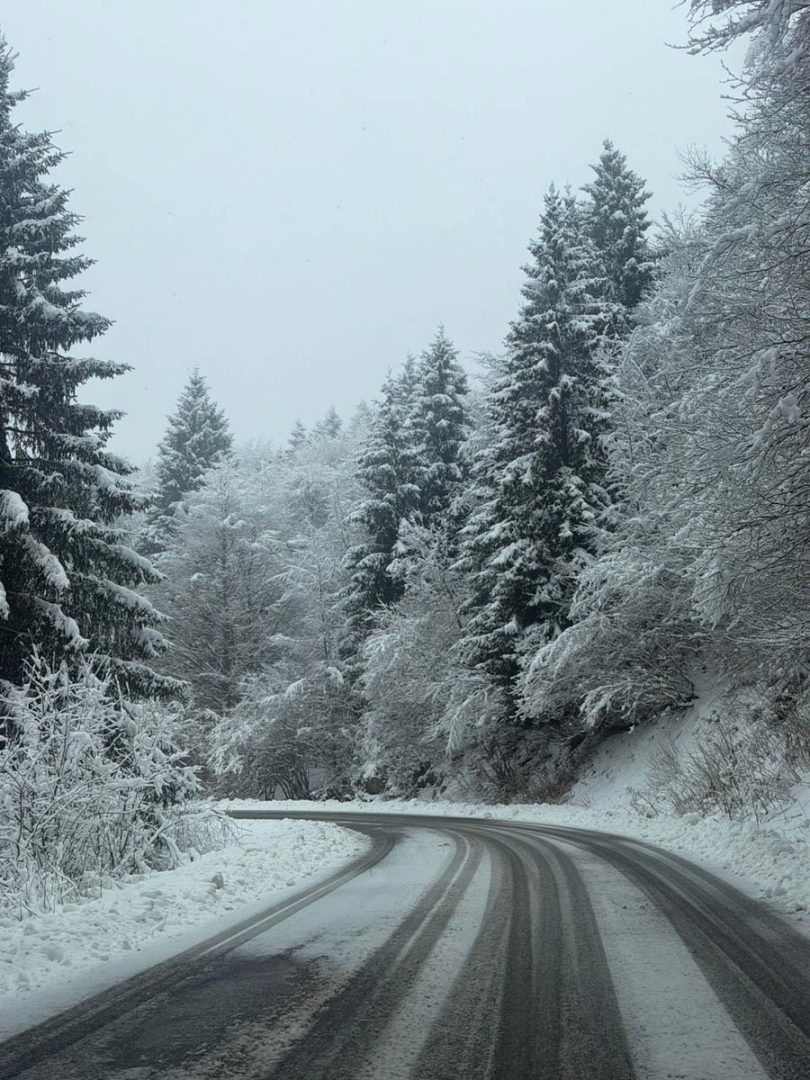Neve in Lessinia a passo Fittanze (Erbezzo) - 24 gennaio 2026