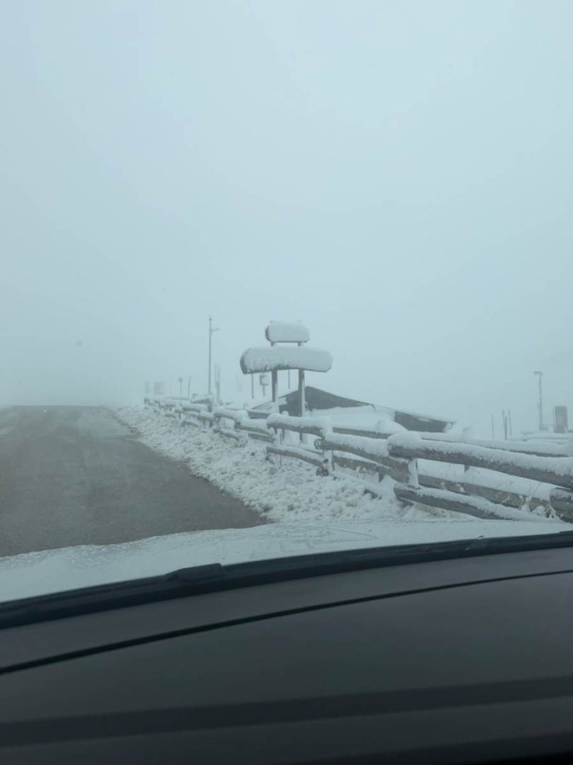Neve in Lessinia a passo Fittanze (Erbezzo) - 24 gennaio 2026